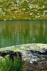 lac et rocher de couleur verte