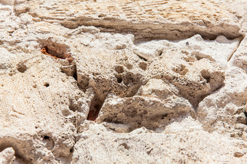 Vintage wall background texture - Design element