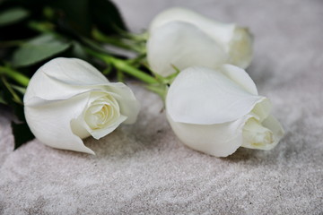 white roses with long buds lie on the table