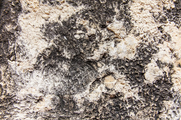 Vintage wall background texture - Design element