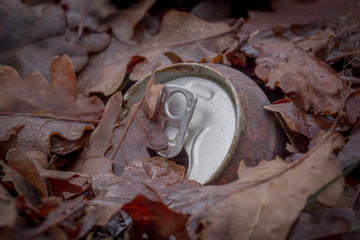Rusty soda can in nature