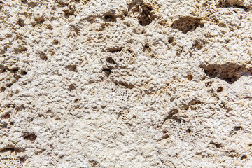Vintage wall background texture - Design element