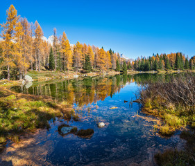 Autumn alpine mountain lake near San Pellegrino Pass, Trentino, Dolomites Alps, Italy.