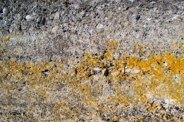 Rusty concrete wall background