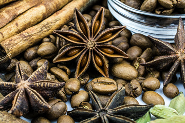 Coffee beans and cardamom, anise and cinnamon on a white background.