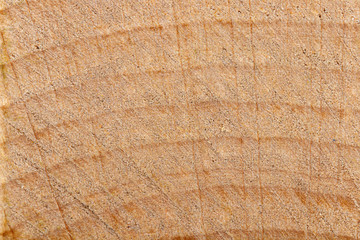macro texture of yellow wood