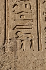 hieroglyphics on wall