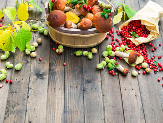 Autumn Season Forest Harvest Background. Wild Forest Edible Mushrooms, Red Berries, Nuts and Leaves. Red Cap Boletus, Hazelnuts and Cowberry on Dark Brown Wooden table.