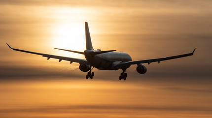 Naklejka premium Airplane landing to sunset