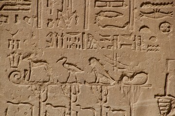 Fototapeta na wymiar hieroglyphs in an egyptian temple