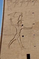 hieroglyphs in an egyptian temple