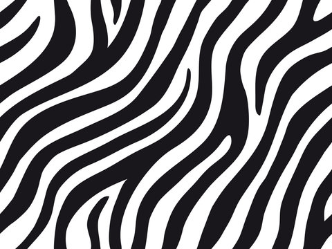 Zebra stripes seamless pattern. Tiger stripes skin print design. Wild animal hide artwork background. Black and white vector illustration.