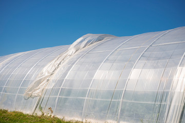 France. Detail of a plastic agricultural greenhouse. Détail d'une serre agricole en plastique.