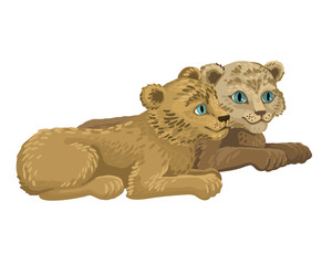 Two lion cubs lie and look at each other sweetly. Wild animals on a white background. Vector illustration