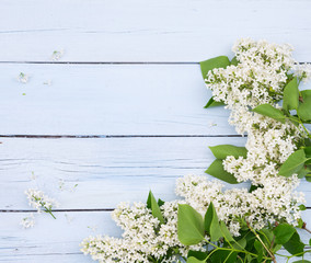 Bouquet of White lilacs flowers on a light blue shabby wooden background. Vintage floral background with spring flowers. Copy space