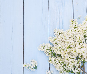 Bouquet of White lilacs flowers on a light blue shabby wooden background. Vintage floral background with spring flowers. Copy space