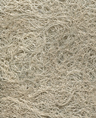 white thread fishing net texture