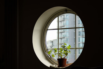 Old Window with Urban View