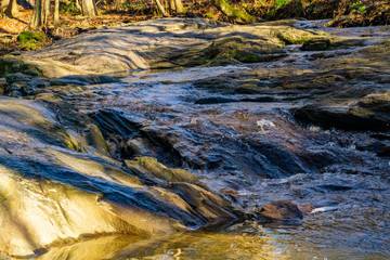 A creek in the forest in January.