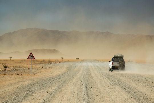 Safari car moving fast in the sand storm, looking for wild animals in Africa, Botswana, Namibia