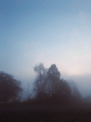 Obraz na płótnie Canvas foggy morning