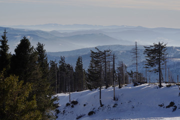 Panoramic view of winter and snowy landscape from the observation platform at the peak of a mountain in Szczyrk, Skrzyczne localization Beskid Mountains. Screensaver, copyspace or natural background.