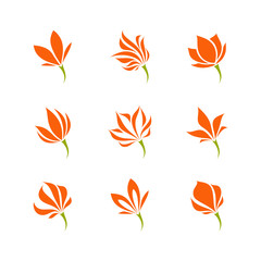 Fototapeta na wymiar Tropical flower. Elegant vector logo template or icon. Set of filigree design elements