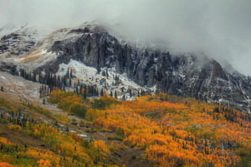 THE MIGHTY AND THE FRAGILE