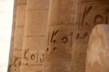hieroglyphics on egyptian temple wall