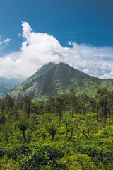 Fototapeta premium mountain landscape with blue sky and clouds