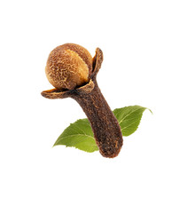 cloves or spice isolated on white background