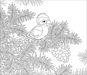 Crossbill with a big cone on a prickly branch of a fir tree in a wild forest, black and white vector cartoon illustration for a coloring book page
