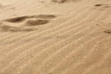 summer sand beach close-up, sand dune waves and footprints in the sand