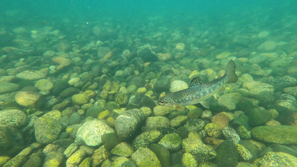 Naklejka premium Argentina natural landscapes