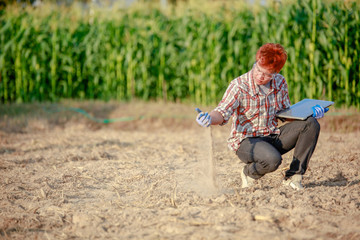 Researchers are checking the soil and collecting soil samples for planting.