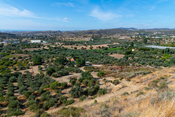 Fototapeta na wymiar Valley with olive trees and rural houses. Cyprus