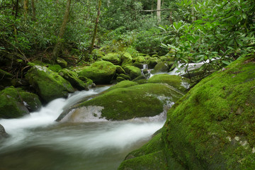 Fototapeta premium small waterfall in the forest
