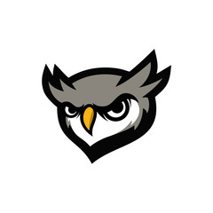 owl head mascot logo with sharp eyes vector illustration