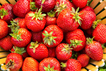 Fresh sweet strawberries in the basket