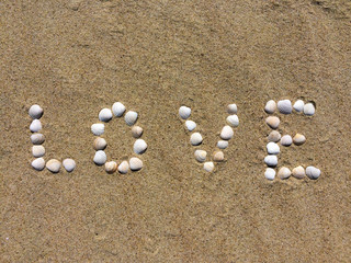 Inscription love made from shells on a beach