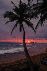 sunset on the beach
