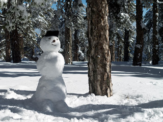Snowman in winter forest