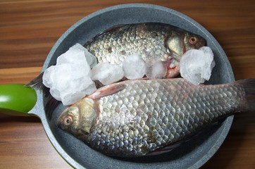  On the table lies a fresh, river fish with ice.