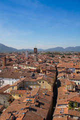 View over Lucca from the Torre Guinigi in Italy
