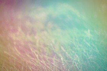 Fototapeta na wymiar Natural color fantasy with grass.