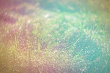 Natural color fantasy with grass.