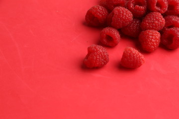 delicious raspberries in colorful background