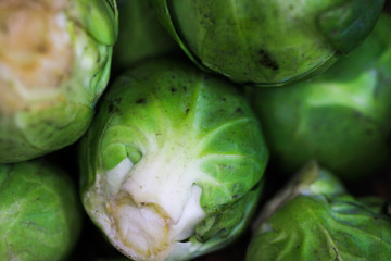 Fototapeta premium Makro close up of green raw fresh brussels sprouts (brassica oleracea)