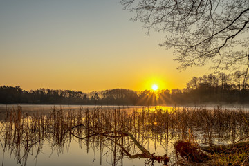 A sunrise on a small lake with fog and golden warm light. Concept: landscapes and nature