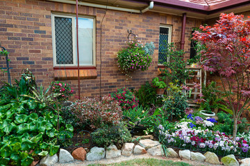 Fototapeta na wymiar Flower Festival in Toowoobba, QLD, Australia. The best gardens in the houses